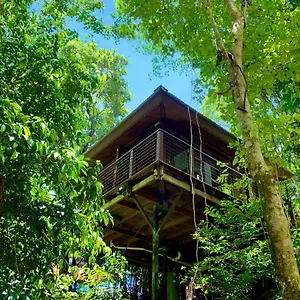  Resort Rainforest Retreat